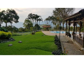 Venta finca venecia El rincon