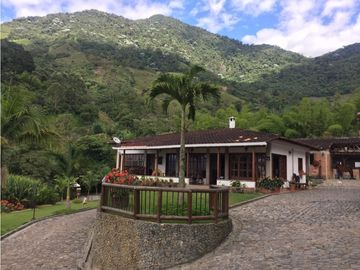 Venta finca venecia El rincon