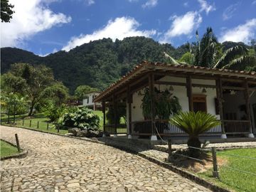 Venta finca venecia El rincon