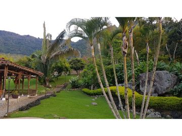 Venta finca venecia El rincon