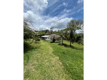 VENTA DE ESPECTACULAR FINCA EN FILANDIA QUINDIO ALTA VALORIZACION