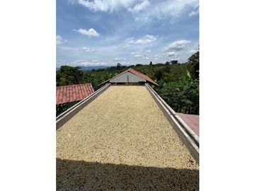 VENTA DE FINCA PRODUCTORA DE CAFE, PLATANO Y TURISMO