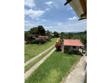 VENTA DE FINCA PRODUCTORA DE CAFE, PLATANO Y TURISMO