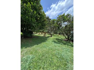 VENTA DE FINCA PRODUCTORA DE CAFE, PLATANO Y TURISMO