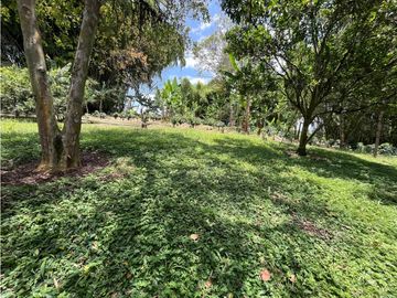 VENTA DE FINCA PRODUCTORA DE CAFE, PLATANO Y TURISMO