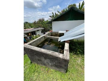 VENTA DE FINCA PRODUCTORA DE CAFE, PLATANO Y TURISMO