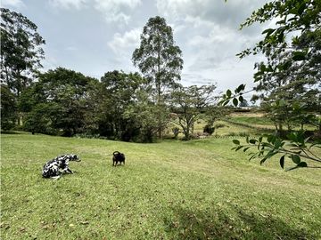 Venta De Casa Campestre Rionegro Cabeceras