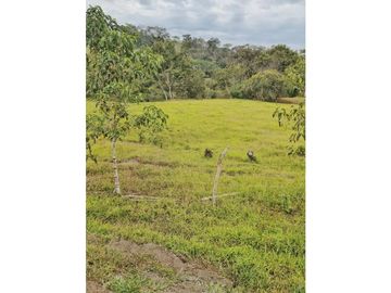 Maat vende finca en La Magdalena-Villeta 112.512m2 $1.200Millones