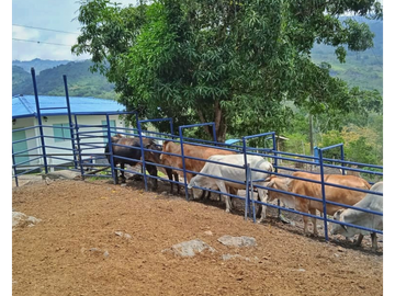 Maat vende finca en La Magdalena-Villeta 112.512m2 $1.200Millones