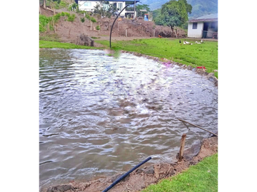 Maat vende finca en La Magdalena-Villeta 112.512m2 $1.200Millones