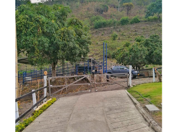 Maat vende finca en La Magdalena-Villeta 112.512m2 $1.200Millones