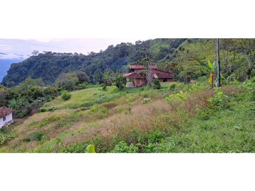 VENDO CASA FINCA EN FREDONIA