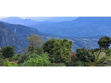 VENDO CASA FINCA EN FREDONIA