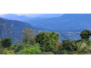 VENDO CASA FINCA EN FREDONIA