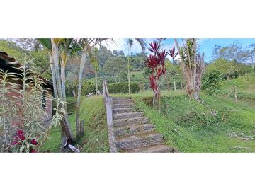 VENDO CASA FINCA EN FREDONIA