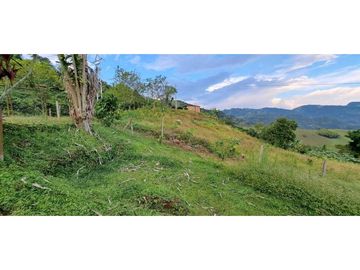 VENDO CASA FINCA EN FREDONIA