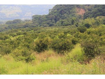 Finca tradicional en Fredonia con hermosa vista