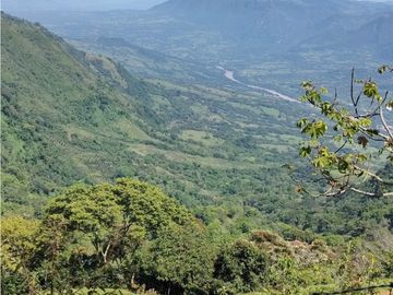 Finca tradicional en Fredonia con hermosa vista
