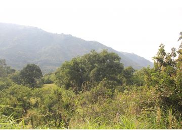 Finca tradicional en Fredonia con hermosa vista