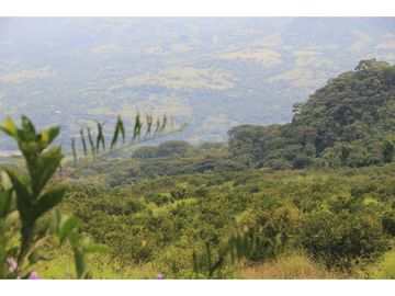 Finca tradicional en Fredonia con hermosa vista