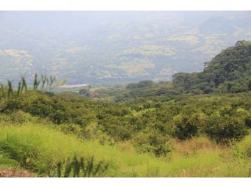 Finca tradicional en Fredonia con hermosa vista