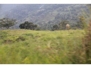 Finca tradicional en Fredonia con hermosa vista