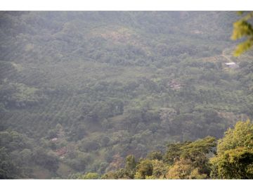 Finca tradicional en Fredonia con hermosa vista