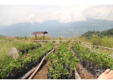 Finca tradicional en Fredonia con hermosa vista