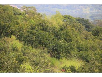 Finca tradicional en Fredonia con hermosa vista