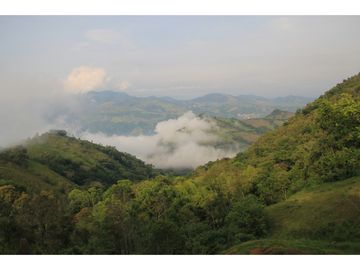 Finca tradicional en Fredonia con hermosa vista