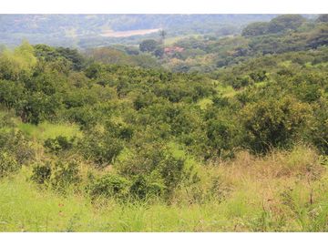 Finca tradicional en Fredonia con hermosa vista