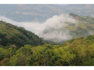 Finca tradicional en Fredonia con hermosa vista