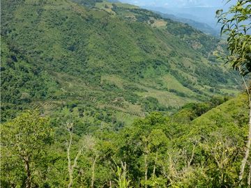 Finca tradicional en Fredonia con hermosa vista