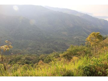 Finca tradicional en Fredonia con hermosa vista