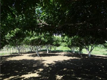 Finca en Venta en Juan de Acosta