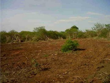 Finca en Venta en Juan de Acosta