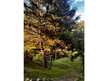 Venta de finca en Guarne Antioquia