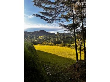 Venta de finca en Guarne Antioquia