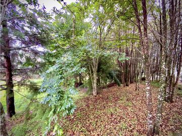 Venta Proyecto Casa Campestre Parcelación Vía La Ceja San Antonio