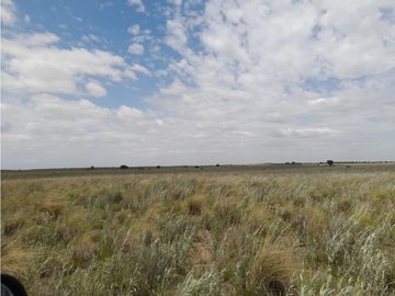 VENTA CAMPO MARTIN DE LOYOLA  GANADERO OPORTUNIDAD SAN LUIS