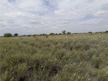 VENTA CAMPO MARTIN DE LOYOLA  GANADERO OPORTUNIDAD SAN LUIS
