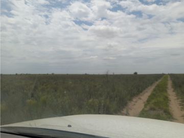 VENTA CAMPO MARTIN DE LOYOLA  GANADERO OPORTUNIDAD SAN LUIS