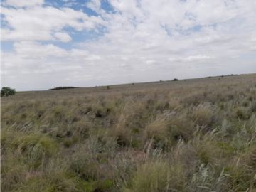 VENTA CAMPO MARTIN DE LOYOLA  GANADERO OPORTUNIDAD SAN LUIS