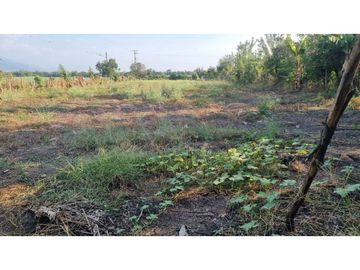Finca de 3.926m2 en venta Santa Elena El Cerrito Valle Colombia