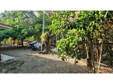 Finca de 3.926m2 en venta Santa Elena El Cerrito Valle Colombia