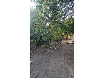 Finca de 3.926m2 en venta Santa Elena El Cerrito Valle Colombia