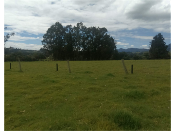 ESPECTACULAR FINCA PARA PRODUCCIÓN AGROPECUARIA