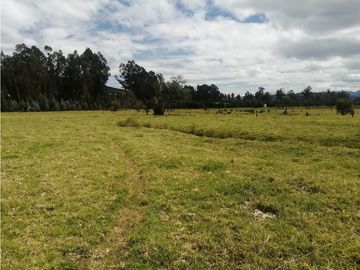 ESPECTACULAR FINCA PARA PRODUCCIÓN AGROPECUARIA