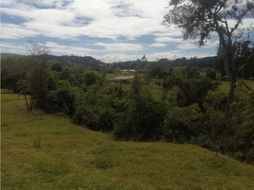 ESPECTACULAR FINCA PARA PRODUCCIÓN AGROPECUARIA