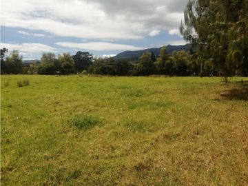 ESPECTACULAR FINCA PARA PRODUCCIÓN AGROPECUARIA